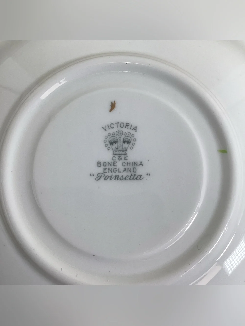 Vintage Victoria C & E Bone China England Tea Cup And Saucer Poinsettia